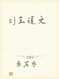 sj王道文