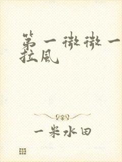 第一微微一笑很拉风