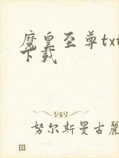 魔皇至尊txt下载