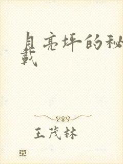 月亮坪的秘密下载