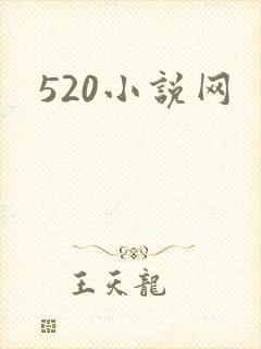 520小说网