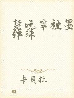 楚晚宁被墨燃塞弹珠