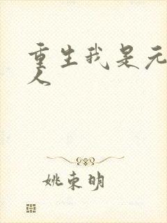 重生我是元帅夫人