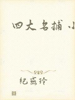 四大名捕 小说
