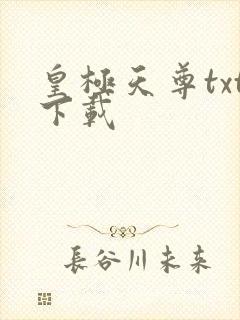 皇极天尊txt下载