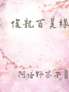 俊龙百美缘小说