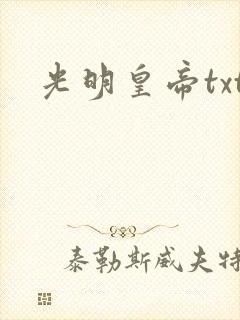 光明皇帝txt