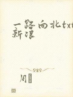 一路向北txt新浪