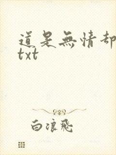 道是无情却有情txt