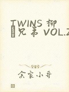 TWINS 柳澤兄弟 VOL.2