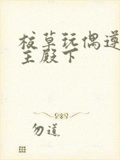 校草玩偶遵命公主殿下