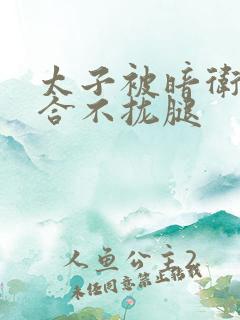 太子被暗卫c到合不拢腿