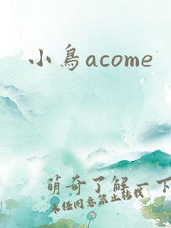 小鸟acome