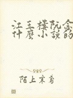 江玉楼阮念笙是什么小说的名字