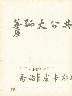 华师大公共数据库