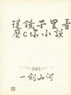 从镜子里看我怎么c你小说