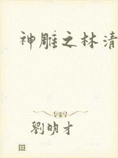 神雕之林清传