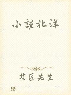 小说北洋