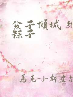 公子倾城 维和粽子