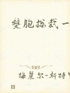 双胞总裁一个妻