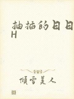 抽插的日日液液H