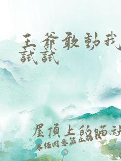 王爷敢动我妈咪试试