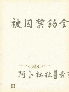 被囚禁的金丝雀