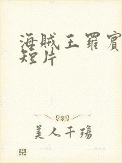 海贼王罗宾被h短片