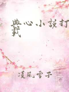 典心小说打包下载