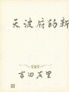天波府的新姑爷