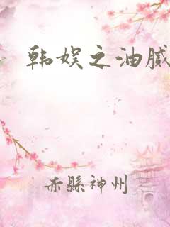 韩娱之油腻夫妇