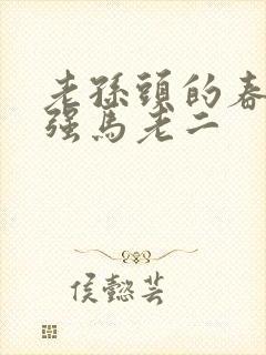 老孙头的春天马强马老二