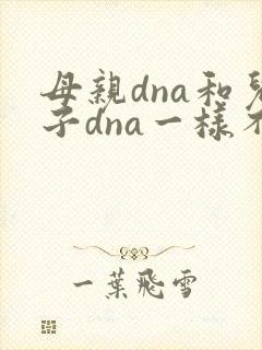母亲dna和儿子dna一样不