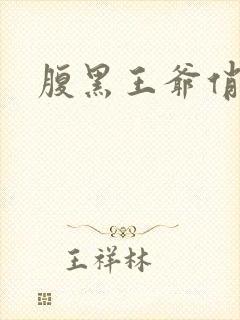 腹黑王爷俏医妃