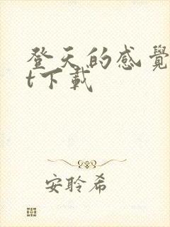 登天的感觉txt下载