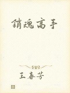 销魂高手