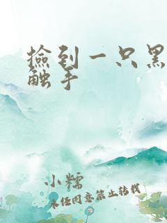 捡到一只黑心小触手