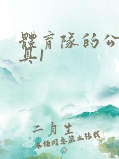 体育队的公用玩具1