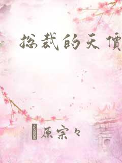 总裁的天价宝贝