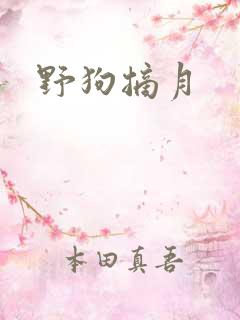 野狗摘月