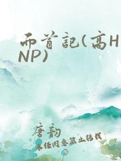 面首记(高H NP)