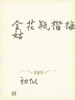 金花瓶楷梅花尼姑