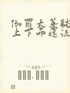 伽罗太华躺在床上下面还流东西