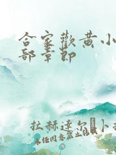 合家欢黄小梅全部章节