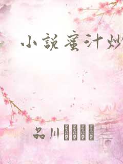 小说蜜汁炒鱿鱼