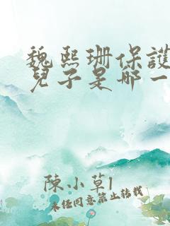 魏熙珊保护萧峥儿子是哪一集