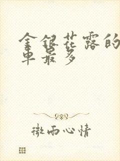 金银花露的哪个车最多