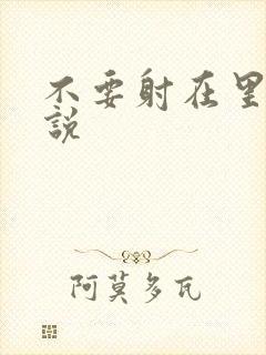 不要射在里面小说