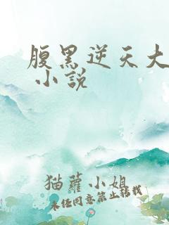 腹黑逆天大小姐 小说