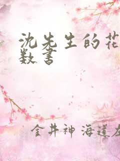 沈先生的花式调数书